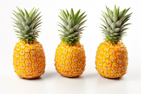 Pineapple close-up isolated on white background, front view of pineapples.の素材