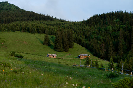 Houses in the mountains for farmers, Carpathian Sheep cheese factory.の写真素材