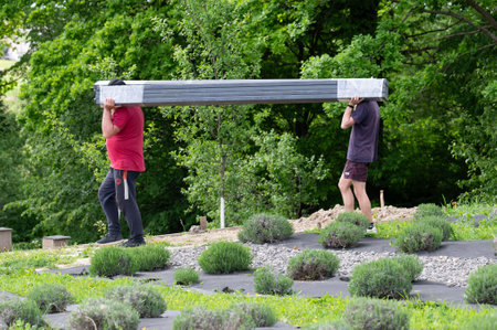 Men carry boards for installing a gazebo in a lavender field, installation work.の写真素材