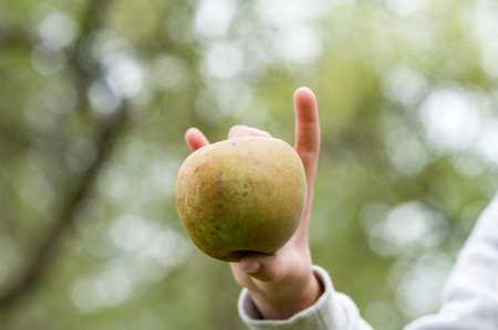 A hand gently holds a ripe, slightly speckled apple against a blurred green background, suggesting a natural outdoor setting like an orchard or garden.の写真素材