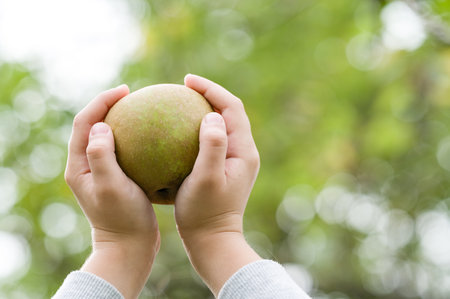 A person holding a ripe, green fruit in their hands against a blurred green, outdoor background. The focus is on the fruit and the hands gently cradling it.の写真素材