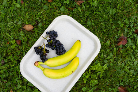 Two ripe bananas and a bunch of dark grapes are arranged on a white tray placed on green grass. Scattered autumn leaves hint at the season.の写真素材