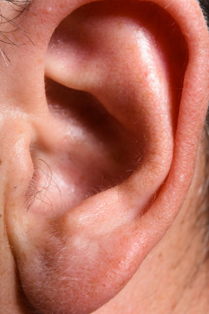 Detailed macro photograph of the outer structure of a human ear, highlighting its intricate folds, textures, and subtle hairs.の写真素材