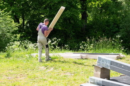 Men carry boards for installing a gazebo in a lavender field.の写真素材