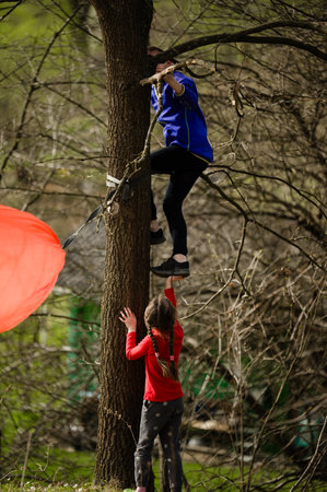 Two young girls are playing outdoors. One girl climbs a tree while the other assists her. The scene is set in a park with bare trees, indicating a spring or autumn setting.の写真素材