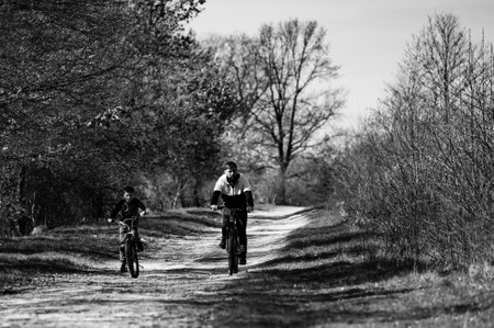 Two figures on bicycles ride down a dirt road lined with trees. A sunny day, a peaceful scene of...