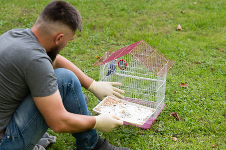 A man carefully cleans a birdcage and replenishes birdseed in a park setting. He is wearing gloves, showing care and attention to the small bird inside.の写真素材