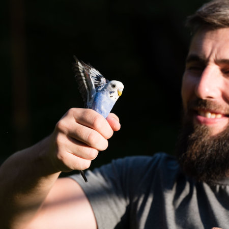 A bearded man holds a small parakeet in his hand. The parrots wings are slightly outstretched. The background is dark and blurred.の写真素材