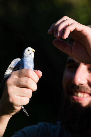 Close-up shot of a man's hand holding a small, light blue bird. The man is smiling, and the background is blurred.の写真素材