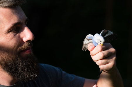 Close-up shot of a man's hand carefully holding a small, light blue parrot. The man's beard and the bird's delicate features are in focus, creating an intimate scene. The background is blurred.の写真素材