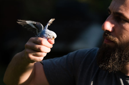 Close-up shot of a man's hand carefully cradling a small, light-blue bird. The bird's wings are slightly spread. Soft light illuminates the scene.の写真素材