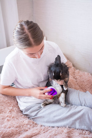 A young woman gently brushes her fluffy black and brown rabbit. She's seated on a soft, pink blanket, creating a cozy and intimate scene.の写真素材