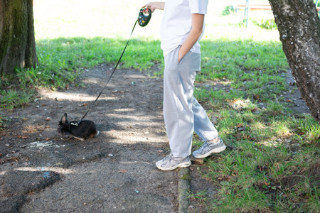 Person walking a black rabbit on a leash in a park.  A sunny day outdoors.の写真素材