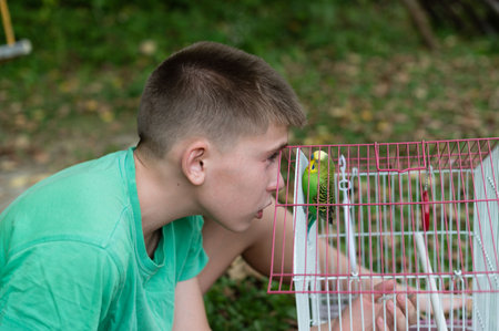 A young boy peers curiously into a small birdcage containing a green budgie. The scene is set...