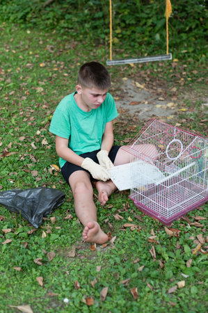 A young boy sits on the grass, cleaning a small birdcage. He's wearing gloves and appears focused on the task. Leaves are scattered around him.の写真素材