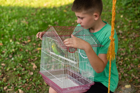 A boy sits outdoors, carefully holding a small birdcage. A single green budgie is visible inside. The scene is peaceful and shows a connection between boy and pet.の写真素材