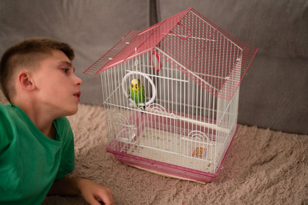 A young boy lies on the floor, attentively watching a small green bird in a pink birdcage. The scene is intimate and evokes a sense of curiosity and connection between the boy and his pet.の写真素材