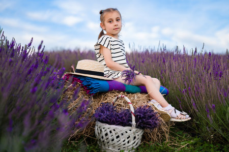 A young girl sits peacefully on a hay bale amidst a vibrant lavender field. A straw hat and lavender flowers rest nearby, creating a charming summer scene.の写真素材