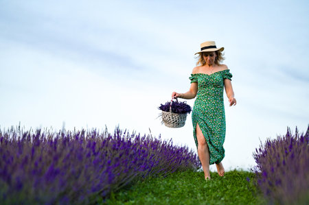A woman strolls through a vibrant lavender field on a sunny day. She wears a floral green dress and a straw hat, carrying a basket of freshly picked lavender. The scene is idyllic and peaceful.の写真素材