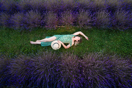 An aerial view of a woman lying on grass amidst rows of vibrant purple lavender. She's wearing a floral dress and a sun hat, enjoying the tranquil setting.の写真素材