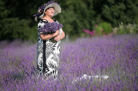 An elegant woman in a black and white dress and wide-brimmed hat stands amidst a vibrant lavender field, gently holding a large bouquet of lavender.の写真素材