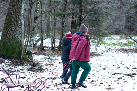 A family of three pulls a sled through a snow-covered forest. The children wear winter hats and coats, walking behind an adult in a red jacket.の写真素材