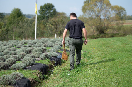 A gardener walks away from rows of garden plots while carrying a broom. The scene is set on a sunny...