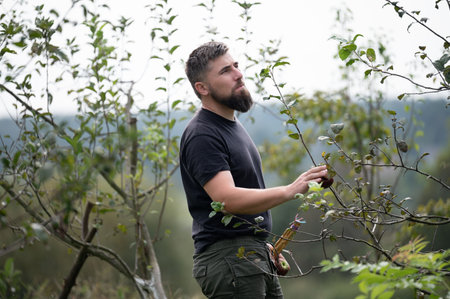A bearded man, dressed casually, looks up at a tree in an orchard, holding an apple. The scene is...