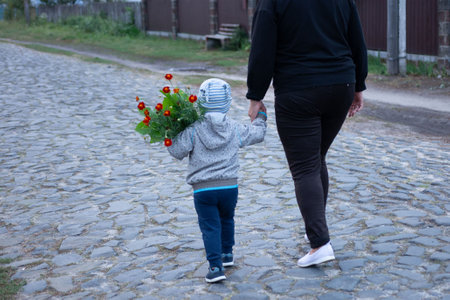 This image captures a heartwarming scene of a toddler carrying a bouquet of red flowers, holding hands with an adult. They are strolling down a quaint cobblestone street on a bright day.の写真素材