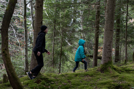 Two children venture through a serene forest, surrounded by tall trees and vibrant moss, embodying...