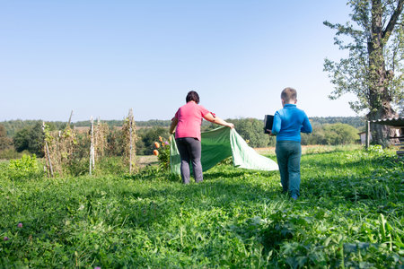 A mother and son are in a sunlit garden. The mother is spreading a green cloth, possibly protecting crops, while the son walks with a black object. The scene shows a serene, rural outdoor activity.の写真素材