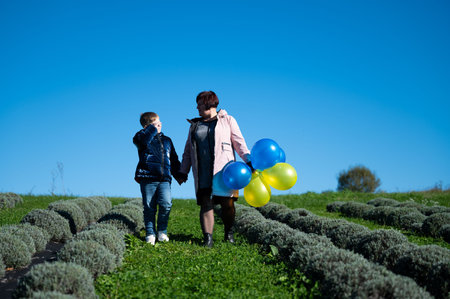 A woman and a child walk hand in hand through lush lavender rows, the child joyfully clutching bright blue and yellow balloons, all under radiant sunshine.の写真素材