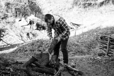 Focused on gathering and stacking firewood, an individual works diligently amidst a tranquil forest landscape, exuding a sense of purpose and connection to nature.の写真素材