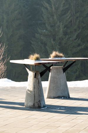 An elegant table design features grass atop concrete bases in a serene outdoor setting with snow,...