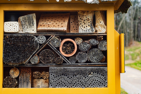 Colorful wooden sections form an insect hotel in a tranquil park, encouraging bees and other pollinators to find shelter and nurture their communities on a bright day in nature.の写真素材