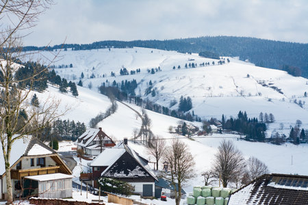 A picturesque village blanketed in snow reflects winter's charm, with gentle slopes and trees dotting the landscape under a bright, clear sky.の写真素材