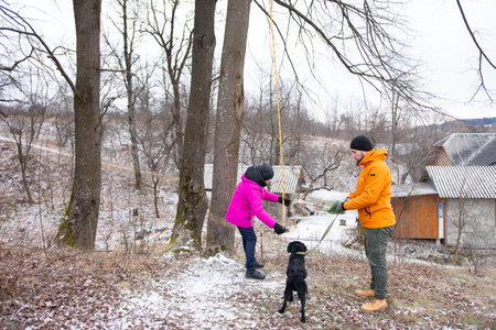 A playful child swings joyfully from a rope while an adult stands nearby with a dog, enjoying a cold winter day amidst trees and a quiet countryside home.の写真素材