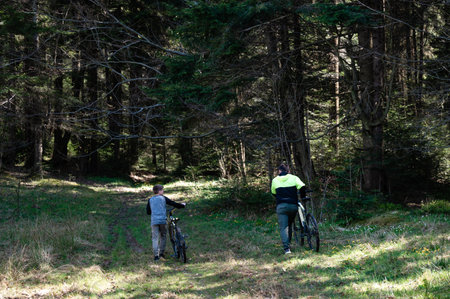 Two figures, likely a father and son, walk their bikes along a forest path. Sunlight filters through the trees, illuminating the scene.の写真素材
