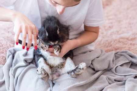 Close-up of a person carefully clipping the nails of a fluffy black and white rabbit. The scene is intimate and peaceful, showcasing a bond between pet and owner.の写真素材