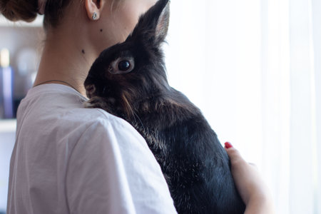 A heartwarming scene showing a woman holding a black rabbit. The soft fur and gentle embrace create a feeling of warmth and affection between the two.の写真素材