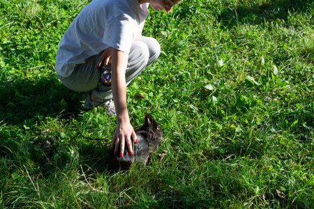 A person gently pets a small black rabbit sitting in a lush green grassy area. The scene is peaceful and sunny, suggesting a relaxing outdoor moment.の写真素材