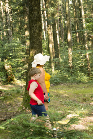 Two figures, an adult and a child, stroll along a wooded trail, sunlight dappling through the leaves. A sense of companionship and outdoor adventure is conveyed.の写真素材