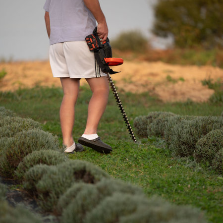 An adult stands in a yard holding a hedge trimmer, ready to maintain neat bushes, wearing casual...