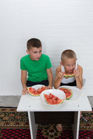 Two young boys are seated at a white table with plates of watermelon slices, enjoying the summer treat. The room has a white brick wall, and their focus is on eating the watermelon.の写真素材