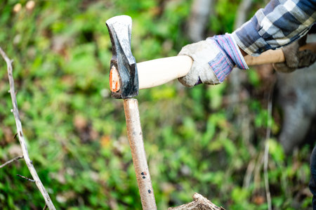 Wielding a sturdy axe, an individual skillfully prepares wood amidst vibrant foliage, embracing...