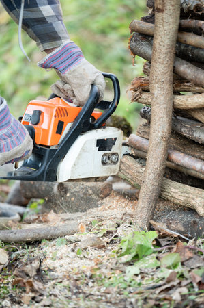 Focusing on the task at hand, an individual operates a chainsaw to slice through timber, surrounded by nature's beauty in a tranquil woodland setting.の写真素材