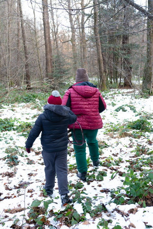 A child and adult walk hand-in-hand along a snow-covered path in a winter forest. Low vegetation peeks through the snow. The scene is peaceful and wintry.の写真素材