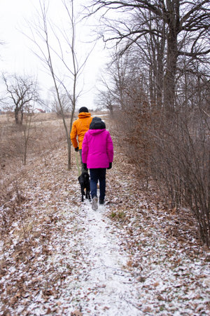 Two individuals wrapped in colorful winter jackets stroll along a snowy path, accompanied by a playful dog amidst bare trees and a tranquil landscape.の写真素材