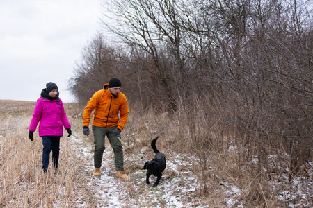 Two people walk side by side on a snowy path, enjoying the cool winter air as their dog playfully runs ahead among the trees and quiet grass.の写真素材