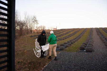 Chilly evening finds two individuals in warm clothing at a lavender farm, sharing a conversation while sitting near neatly groomed lavender rows under a serene sky.の写真素材